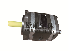 福伊特齒輪泵IPVP 4-32 171 福伊特齒輪泵IPVP 4-32 171